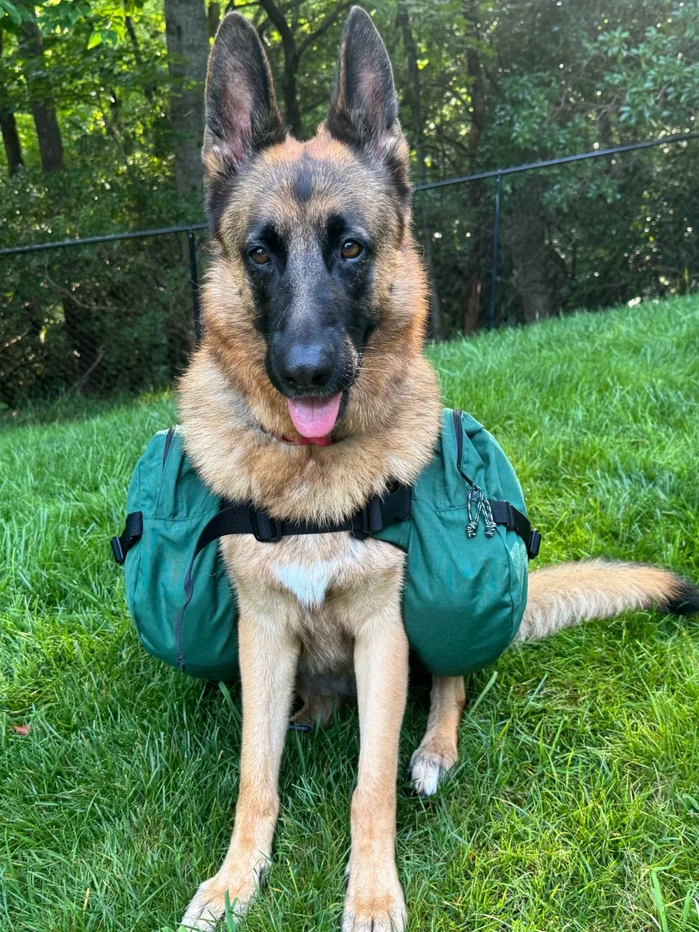 Outdoor Products Cordura Dog Hiking Backpack Saddle Bags XL Green